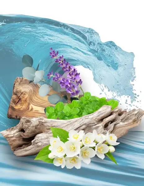 Soap & Shine Clean Fragrance - Clean Fragrances